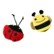 Käfer und Biene