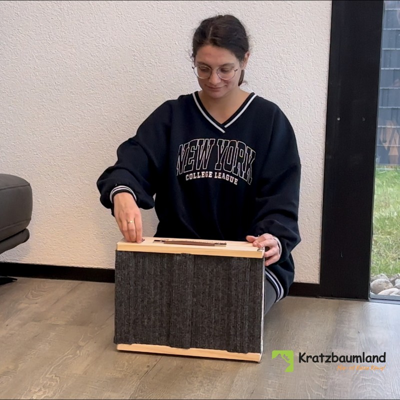 Hunde- und Katzenrampe (mit Stufen)