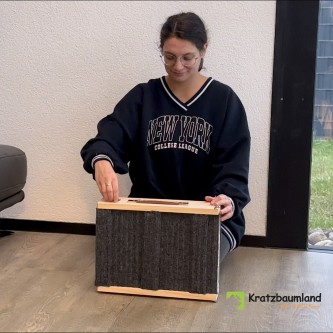 Hunde- und Katzenrampe (mit Stufen)