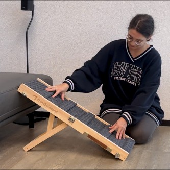 Hunde- und Katzenrampe (mit Stufen)