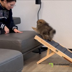 Hunde- und Katzenrampe (mit Stufen)