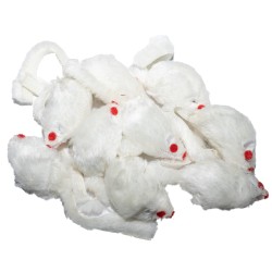 Spielmaus in vier Farben, braun, grau, schwarz, weiß