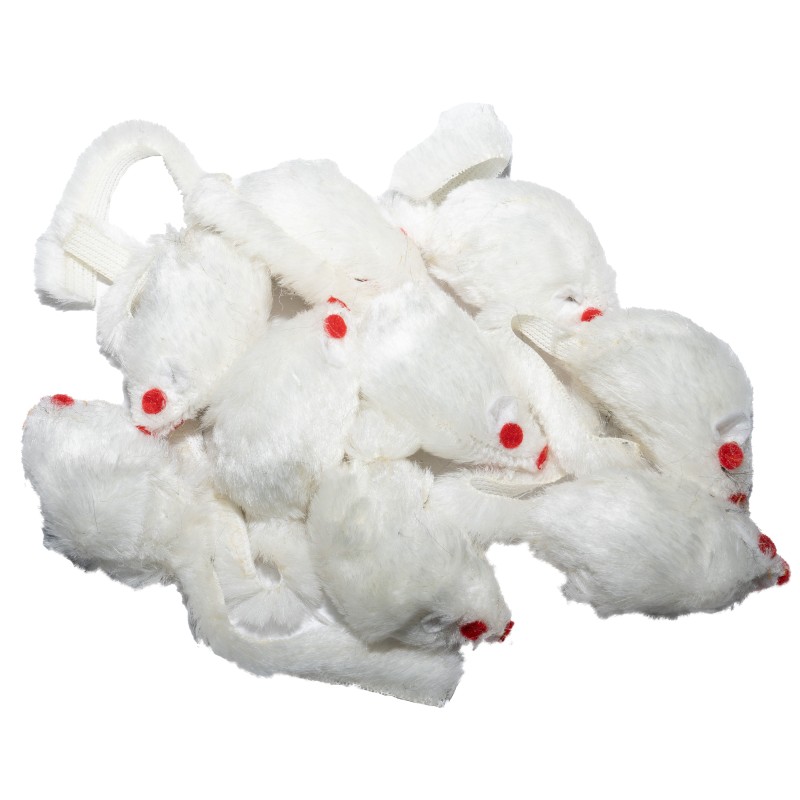 Spielmaus in vier Farben, braun, grau, schwarz, weiß