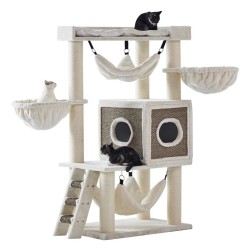 Nobby Kratzbaum "JUAN"