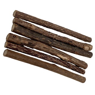 Matatabi-Sticks 6er-Pack – Natürlicher Kauspaß für Katzen