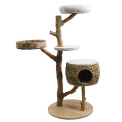 Nobby Kratzbaum "ARBO"