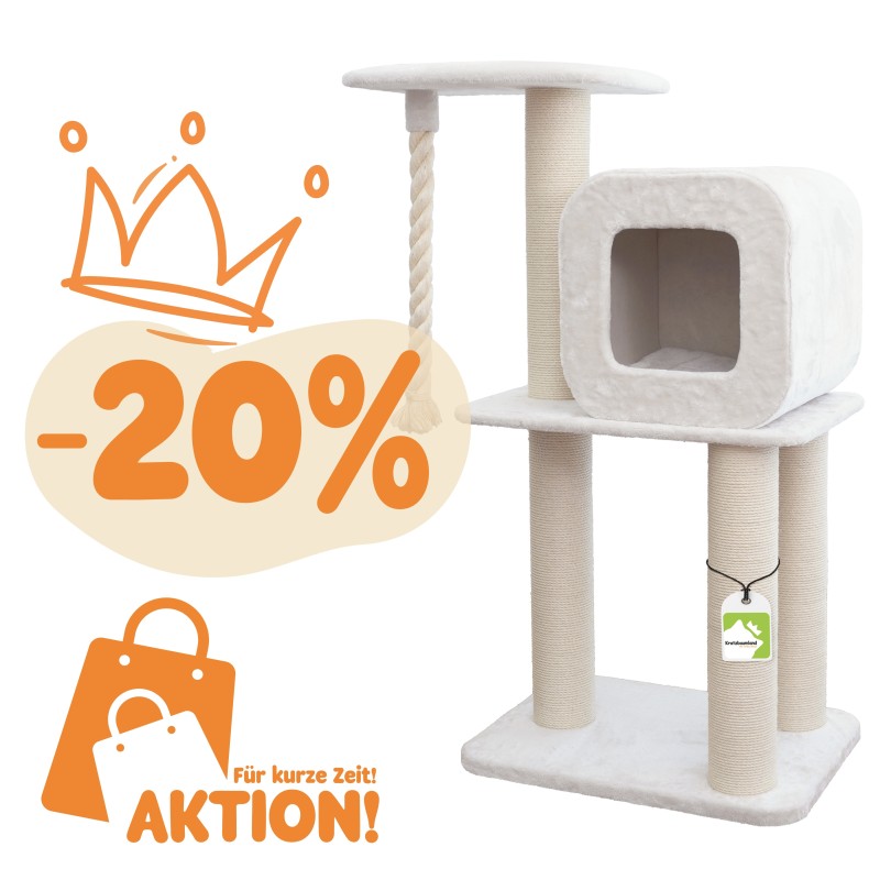 Oscar L Kratzbaum – Modernes Design, 153 cm hoch, 2 Liegeflächen